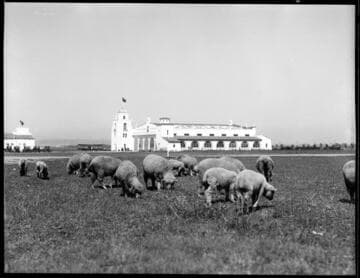 Los Angeles Municipal Airport, Los Angeles. 1930