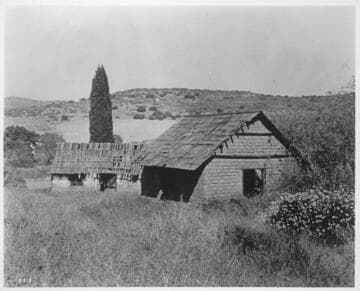 San Juan, winter cattle pasture of San Luis Rey Mission, San Diego Co