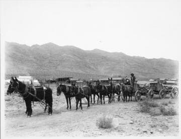 Ore from Desert - Mules pulling ore wagons