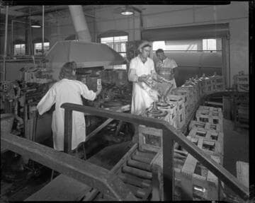 Arrowhead purity plant. 1946