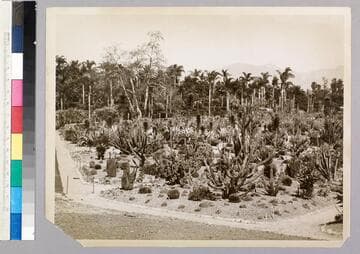 Desert garden, general view, circa 1930
