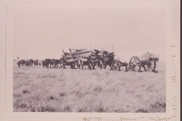 Spencer outfit hauling boat and freight from Flagstaff to Lees Ferry