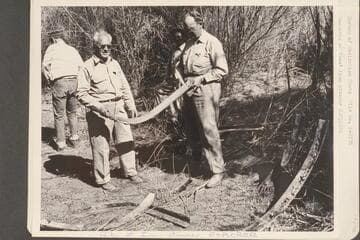 Remnants of Ives' iron steamer "Explorer"