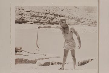 Norm Nevills keeps safely away from a rattler; Little Colorado River