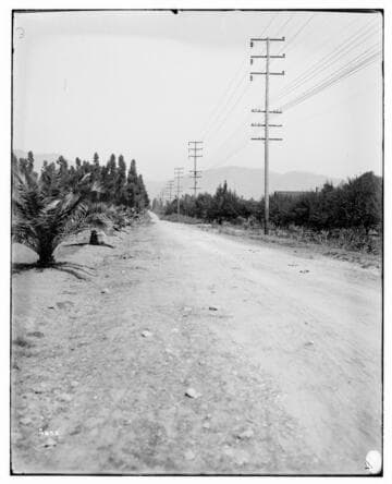 Distribution Lines