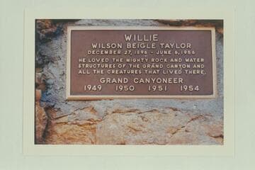 Plaque